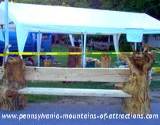 PA fall festival chainsaw sculpture bench at Lakemont Park