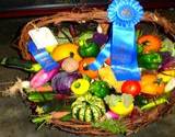 A basket of blue ribbon vegetables at the Bedford Fair