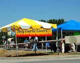 A garlic stand with sign reading 