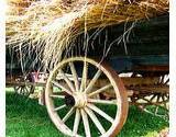 A haywagon at the Kutztown Fair