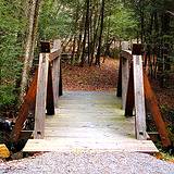 photo of a beautiful hiking trail at Kinzua Bridge State Park