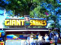 a photo of a large snake exhibit on the midway at the Cambria County Fair